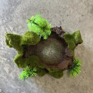 Reptile Feeding Bowl,Resin Beared Dragon Food Water Dish Tank Decor